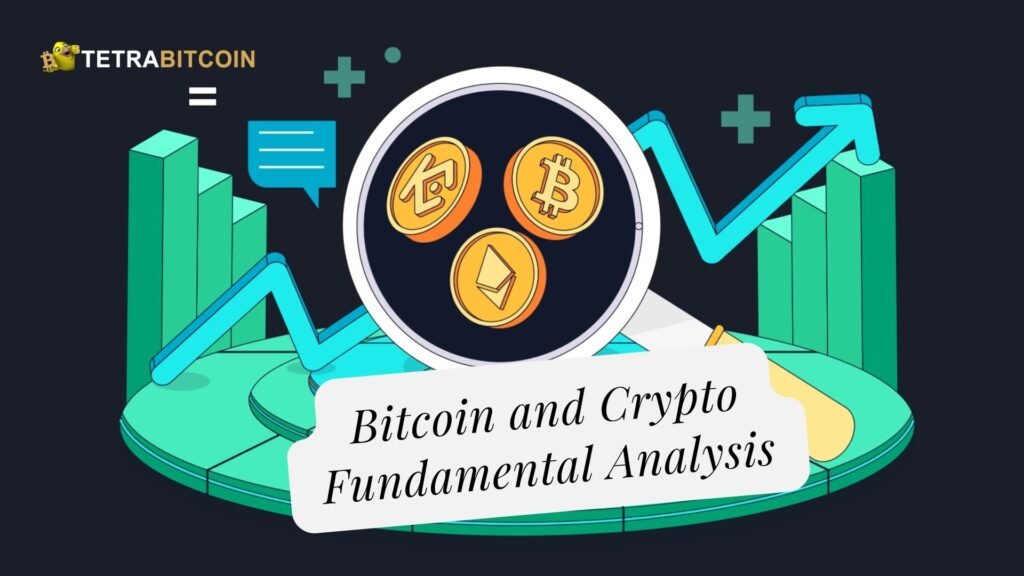 Does Bitcoin and Crypto Fundamental Analysis Actually Work?