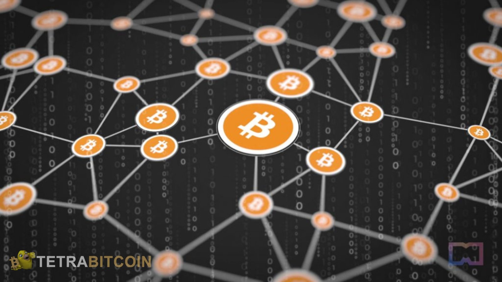 Bitcoin Node: An Ultimate Guide on Blockchain Nodes