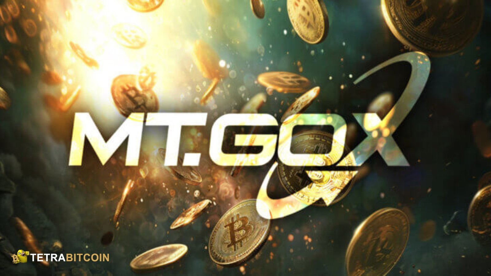 The Fall of Mt. Gox