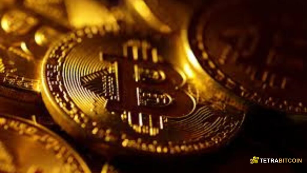 The Rise of Bitcoin and Its Community: Insights from BTC Reddit