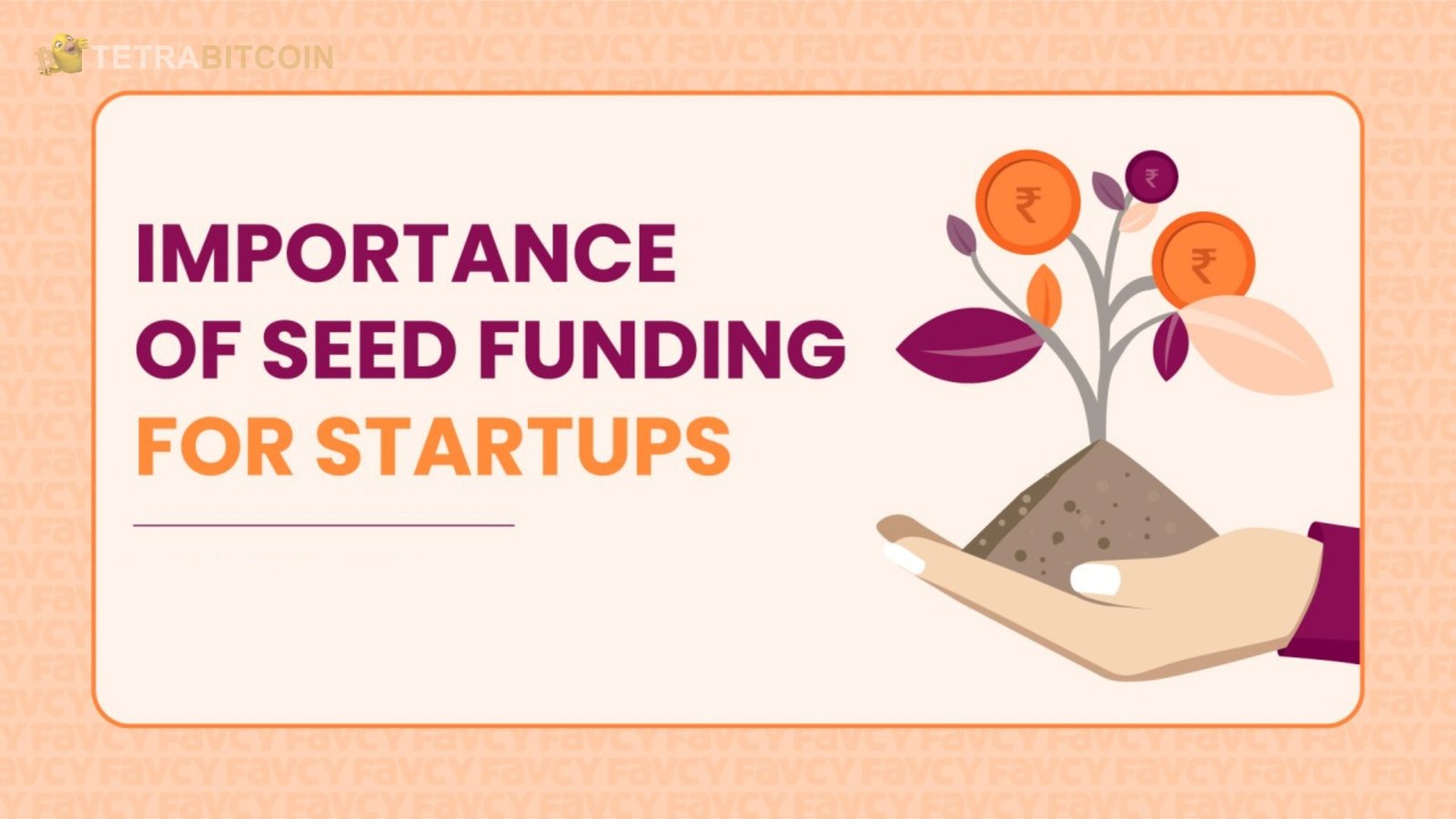 The Impact of Seed Funding on the Startup Ecosystem