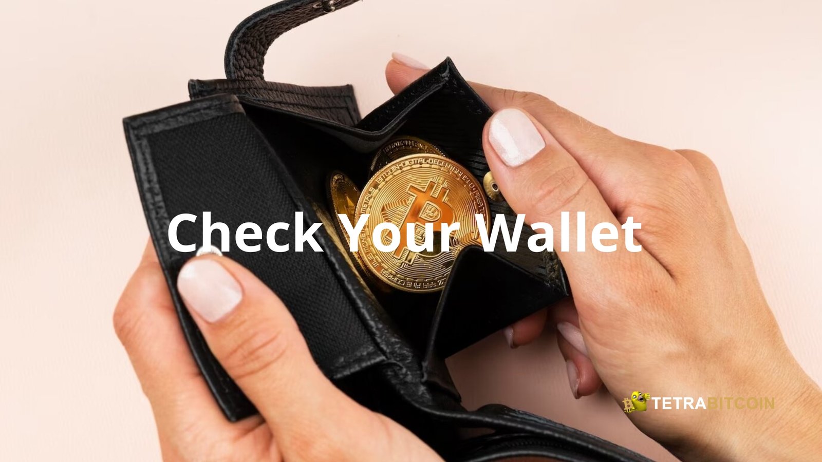 Check Your Wallet Bitcoin Bonus Withdrawal