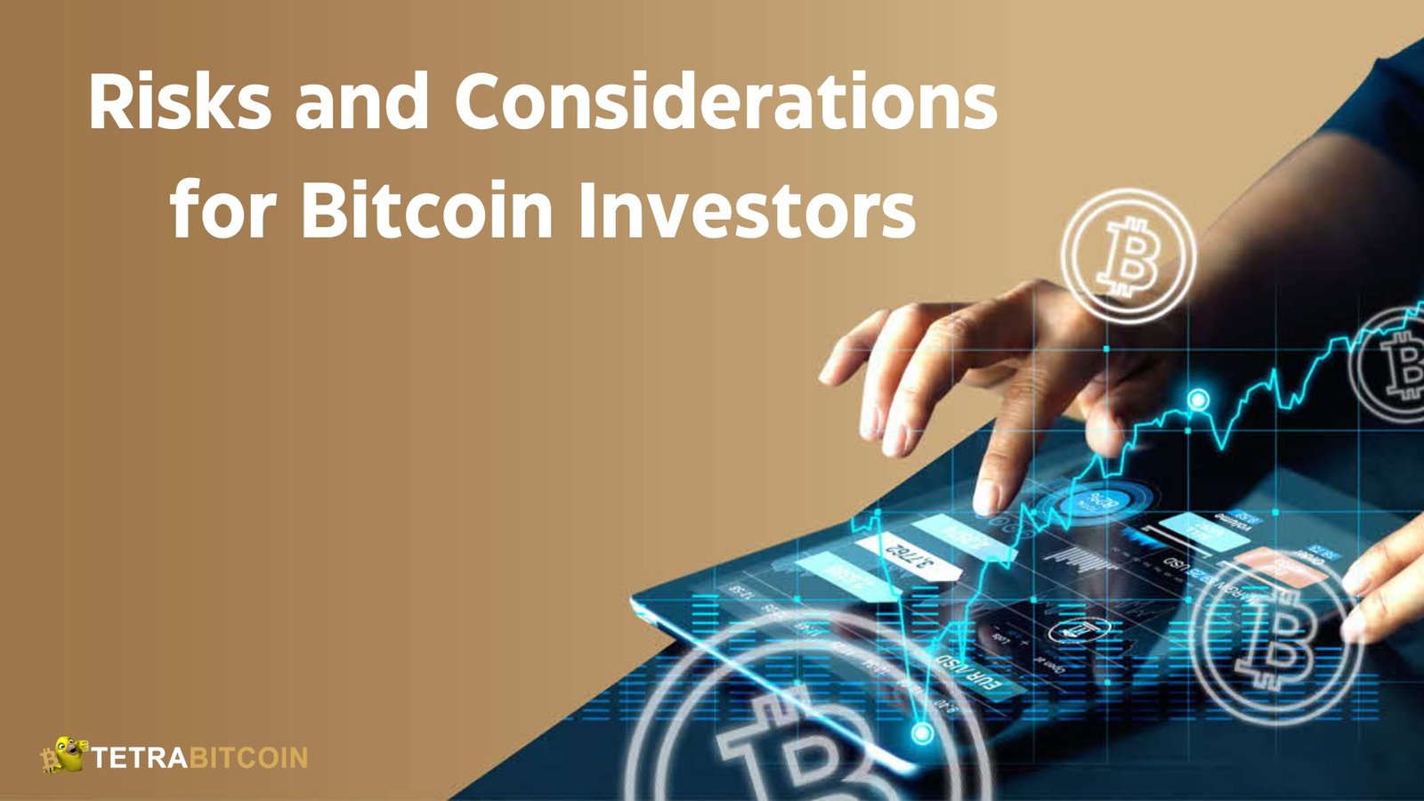 Risks and Considerations for Bitcoin Investors