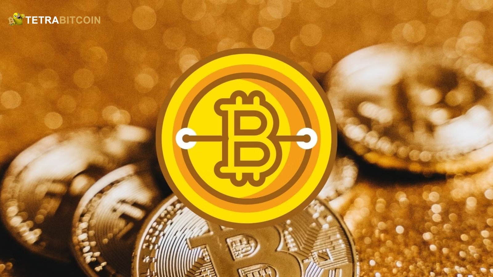 The Need for Bitcoin Gold