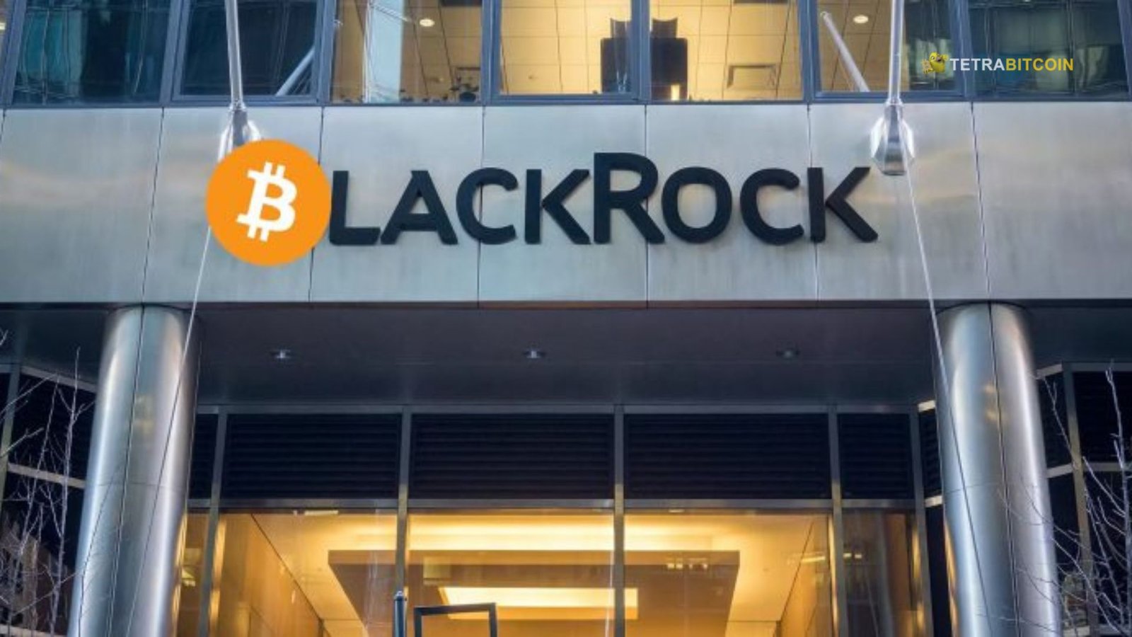 The Impact of BlackRock Bitcoin Holdings on the Market