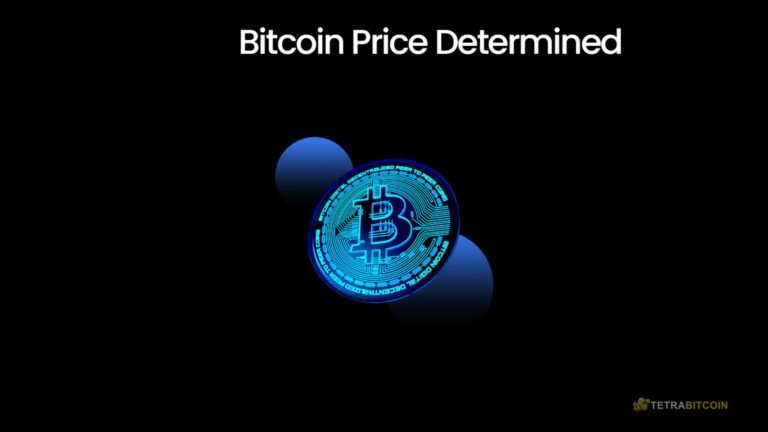 What Determines the Price of Bitcoin? Bitcoin price dynamics What Determines the Price of Bitcoin? Bitcoin price dynamics