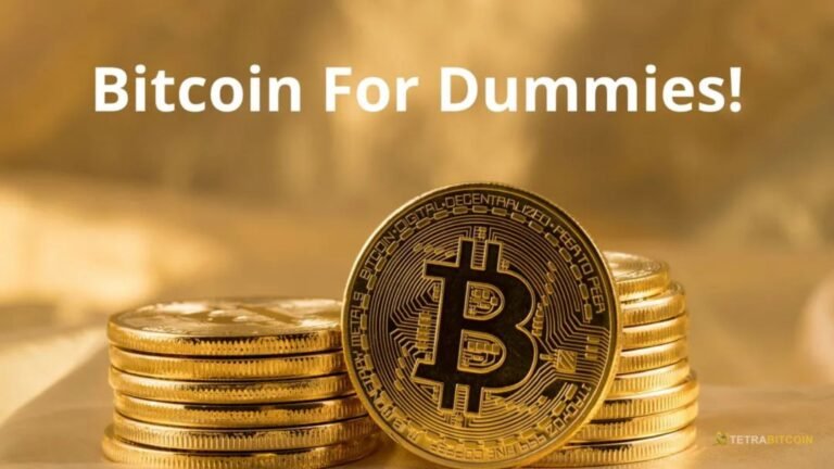 Bitcoin for Dummies A First Look at Bitcoin