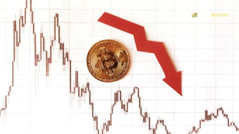 In What Ways Could the Price of Bitcoin Fall?