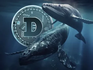 Bitcoin Drops 12% as Whale Activity Surges