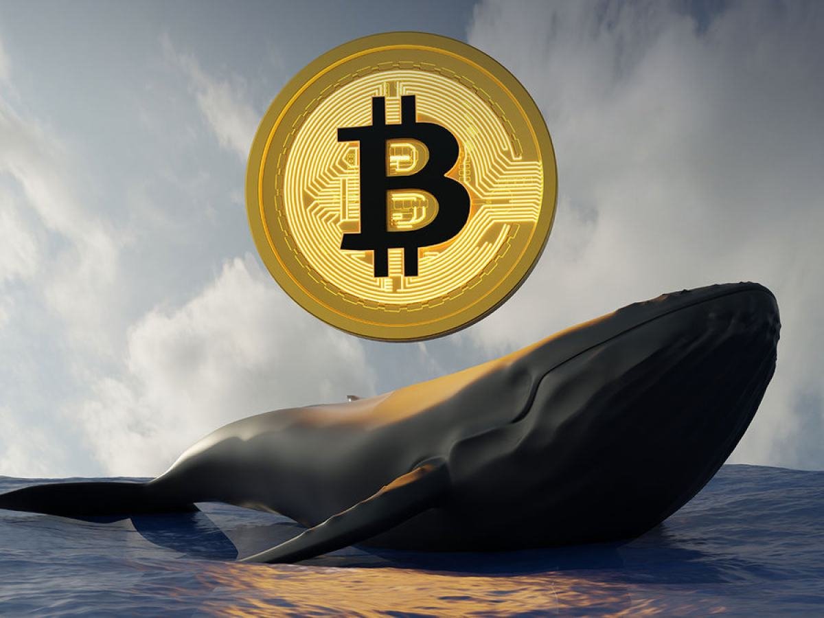 Bitcoin’s Rise & Whale Shift