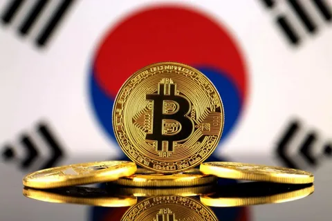 South Korea’s Crypto Crackdown