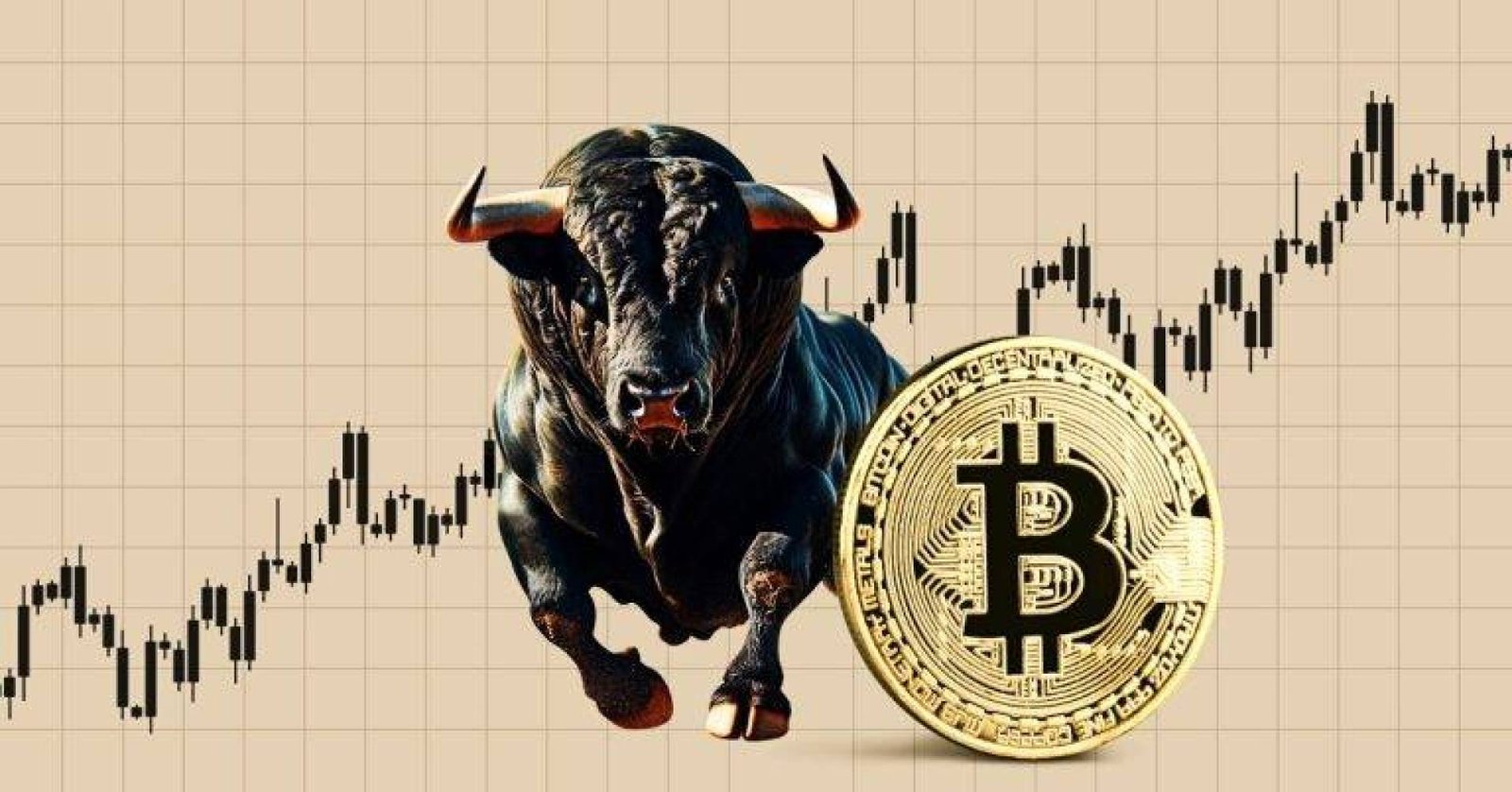 Bitcoin's Volatility and Potential