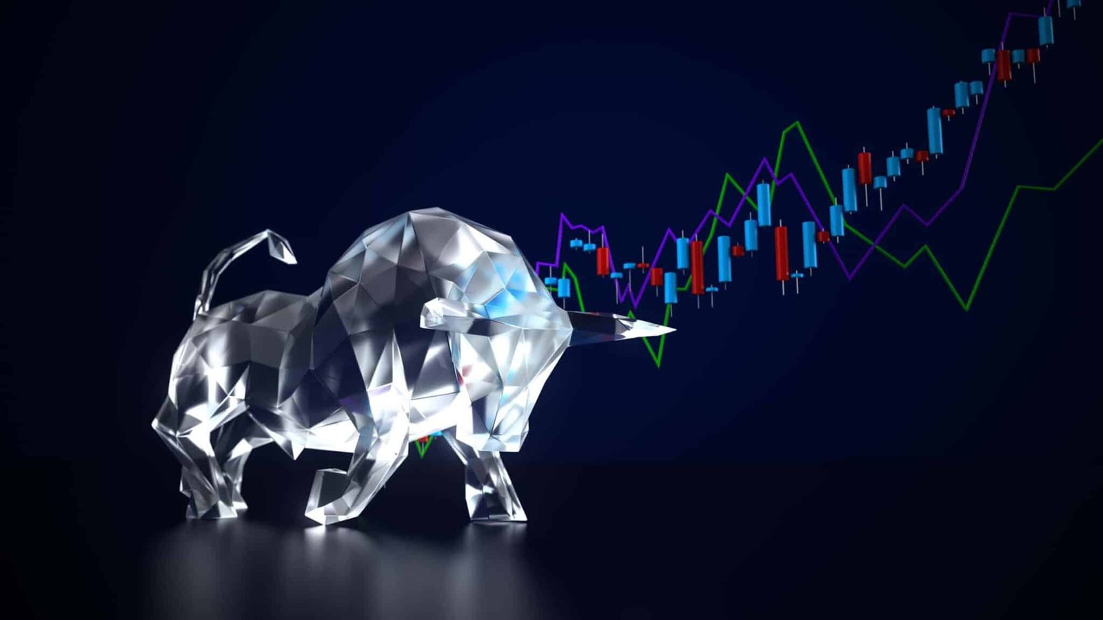 Bitcoin's Volatility and Potential for Bull Run Reversal