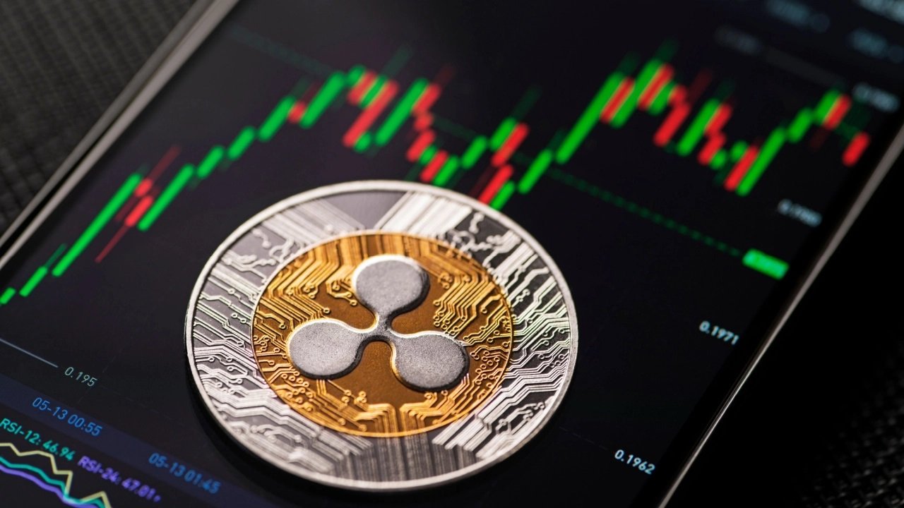 XRP Purchase Sparks Transparency and Market Concerns