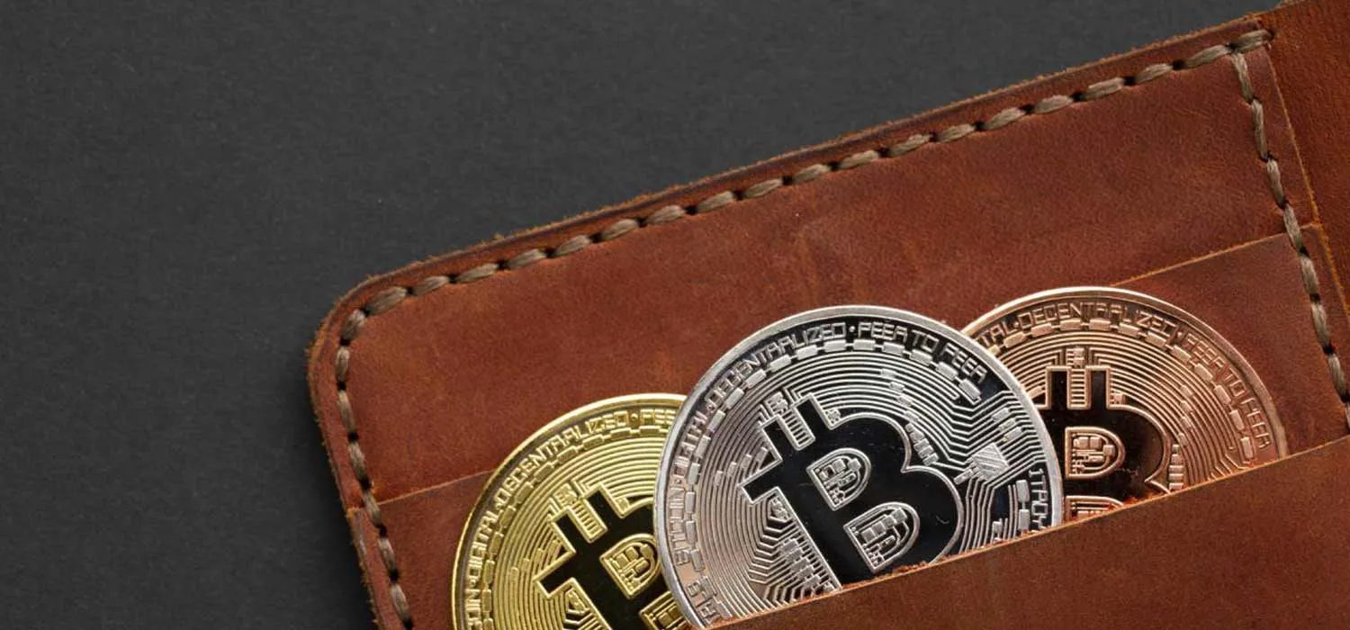 Bitcoin Wallet Providers