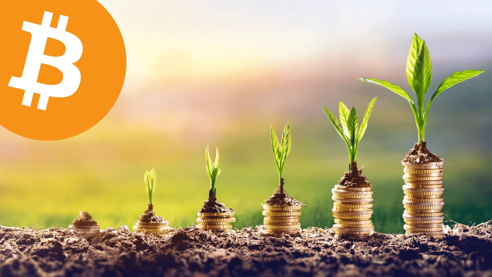 Investment and Development Opportunities