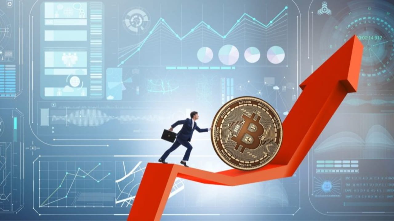 Risk Management in Bitcoin Investing